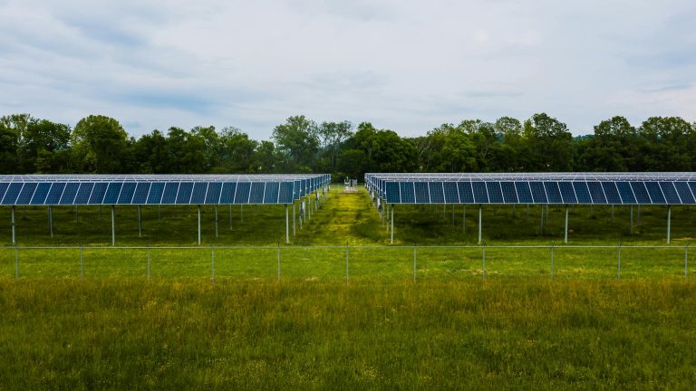 Aerial view of solar panels in a grassy field with trees in the background.